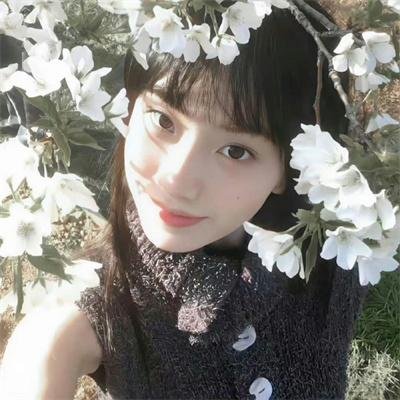 毒枭煮妇